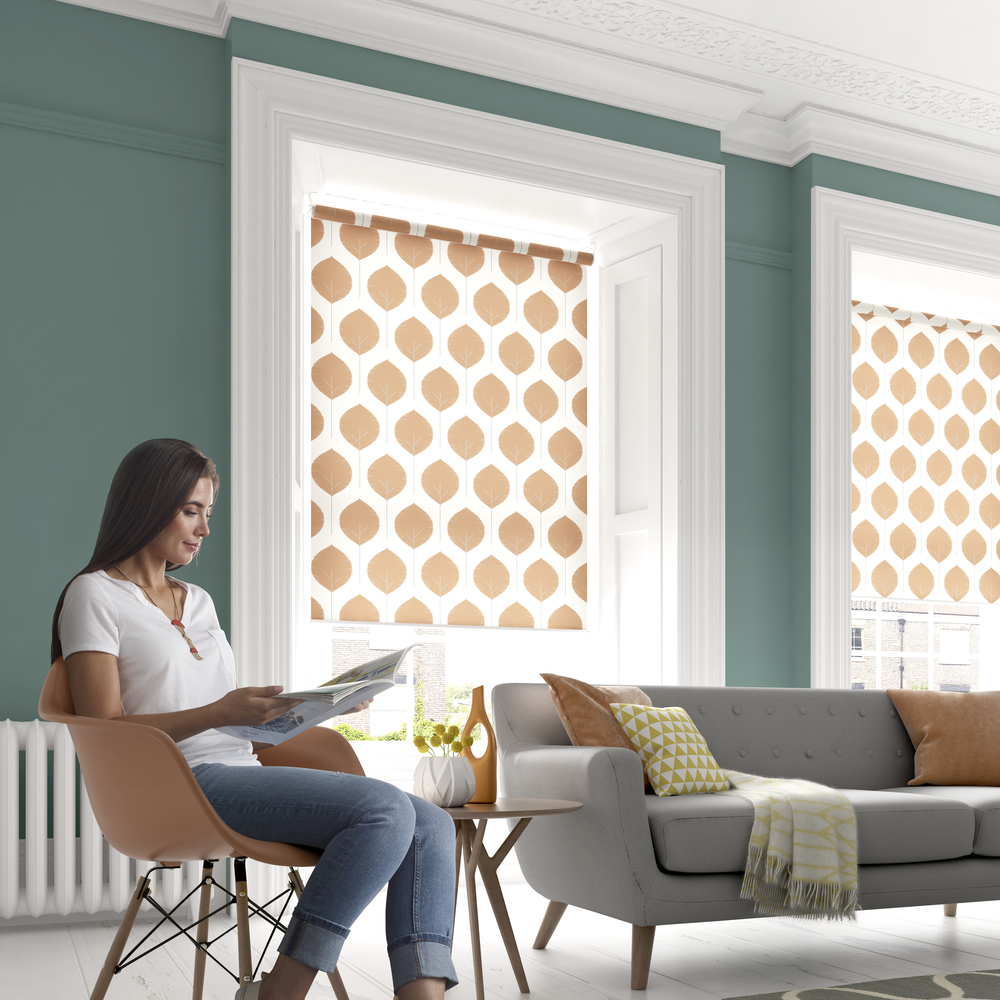 Albany Blinds Edinburgh